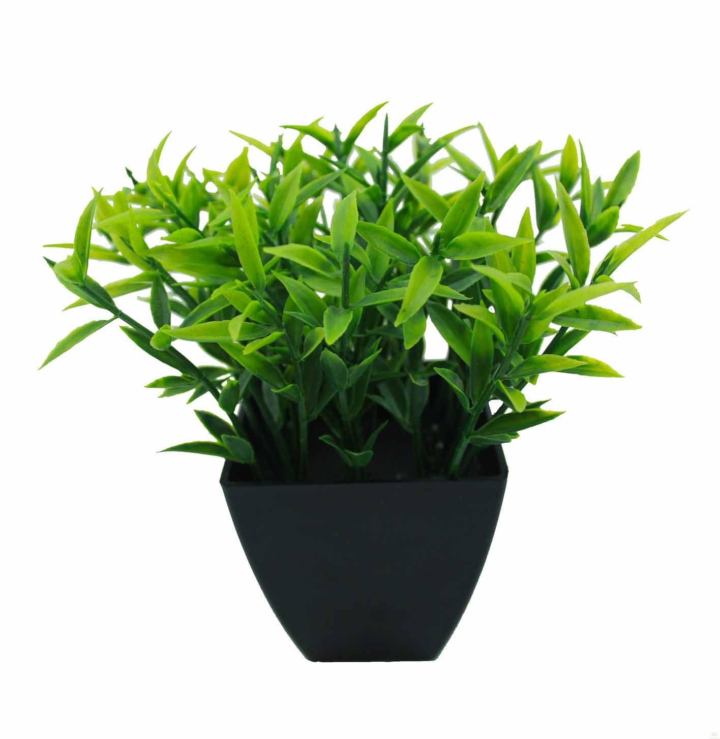 Maceta decorativa - Macetas - Macetas Jorge