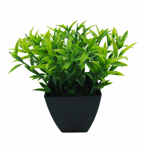 Maceta decorativa - Macetas - Macetas Jorge